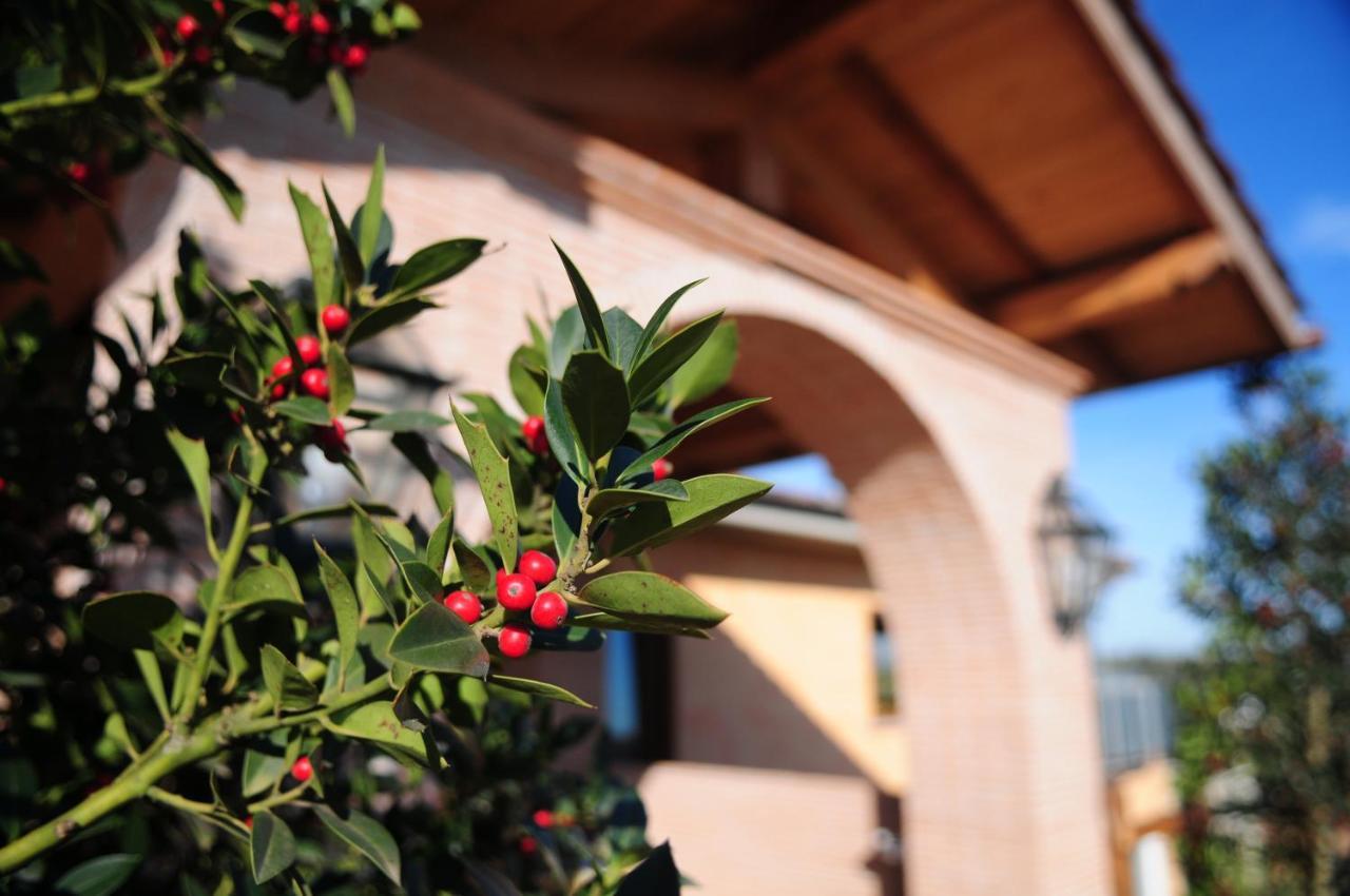 Bed & Breakfast Poggio Dei Cavalieri